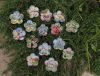 IMG20250713175541.thumb.jpg.61a9cca8caa6aaec80bbe48b9ae0e3e5.jpg