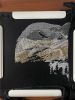 IMG_1668.jpeg