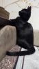 IMG_20230831_205818.thumb.jpg.512d56a7f53814b969a45f97a58bf1fc.jpg