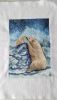 IMG_20250508_115321.thumb.jpg.588bed5b8e279cff80025f16d0be8d2c.jpg