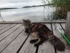 IMG_20250626_203246.thumb.jpg.9d90f63934faf9884ad26b6e7792871a.jpg
