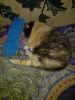 IMG_20250701_045700.thumb.jpg.ac2dbd4667eb38791137baff777349c9.jpg