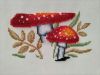 IMG_20250708_094743.thumb.jpg.5199ced69e38bc924e42b4f4519b48e2.jpg