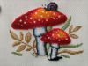 IMG_20250721_124633.thumb.jpg.accdea6bb142ec90e255005f3710325e.jpg