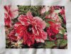 IMG_3571.jpeg