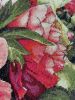 IMG_3586.jpeg