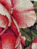 IMG_3587.jpeg