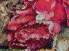 IMG_3588.jpeg