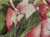 IMG_3589.jpeg