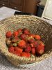 IMG_9807.jpeg