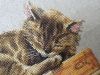P1240103.thumb.JPG.245ce7bb91c65b2092ed462dd21144cf.JPG
