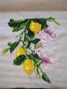 PXL_20250712_094029852_exported_679_1752314813410.thumb.jpg.d4c0048a68a9cd447b9dfceecc521d43.jpg