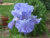 dba0c940be8a01bacff4b0d259d86b72.jpg