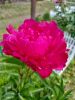 fc9c2fd0-7f84-4daf-bd39-45a641de6bbe.thumb.jpg.b96d05c2902f375a6cff9c92a8786661.jpg