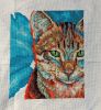tabby1807.thumb.jpg.cc14cb28dcc88944b20258c0b7d5b12f.jpg