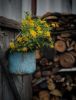 1075922118_1000111544(1).thumb.jpg.57a5aef6f6d35a4638b72c447abe3039.jpg