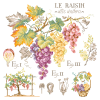 1162983738_lin-etude-aux-raisins-maxi-grille(2).thumb.jpg.36993c04b7e9471ac54ce1ca54d3c173.jpg