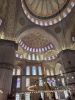 20250428_104558.thumb.jpg.447bafd52e750c62056864d3b7a60a1b.jpg