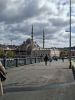 20250429_163040.thumb.jpg.25c1a6aabca7b0ca0499b0286fb3b9cd.jpg