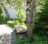 20250703_120137.thumb.jpg.23be6fd2259debeabce1276794631647.jpg?1756653826475