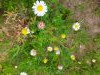 20250810_151202.thumb.jpg.41c83302742013e672d32ae3aed16a7e.jpg?1754883597939