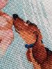 4.thumb.jpg.d08bbdad8cf389d304deae12fe14de15.jpg