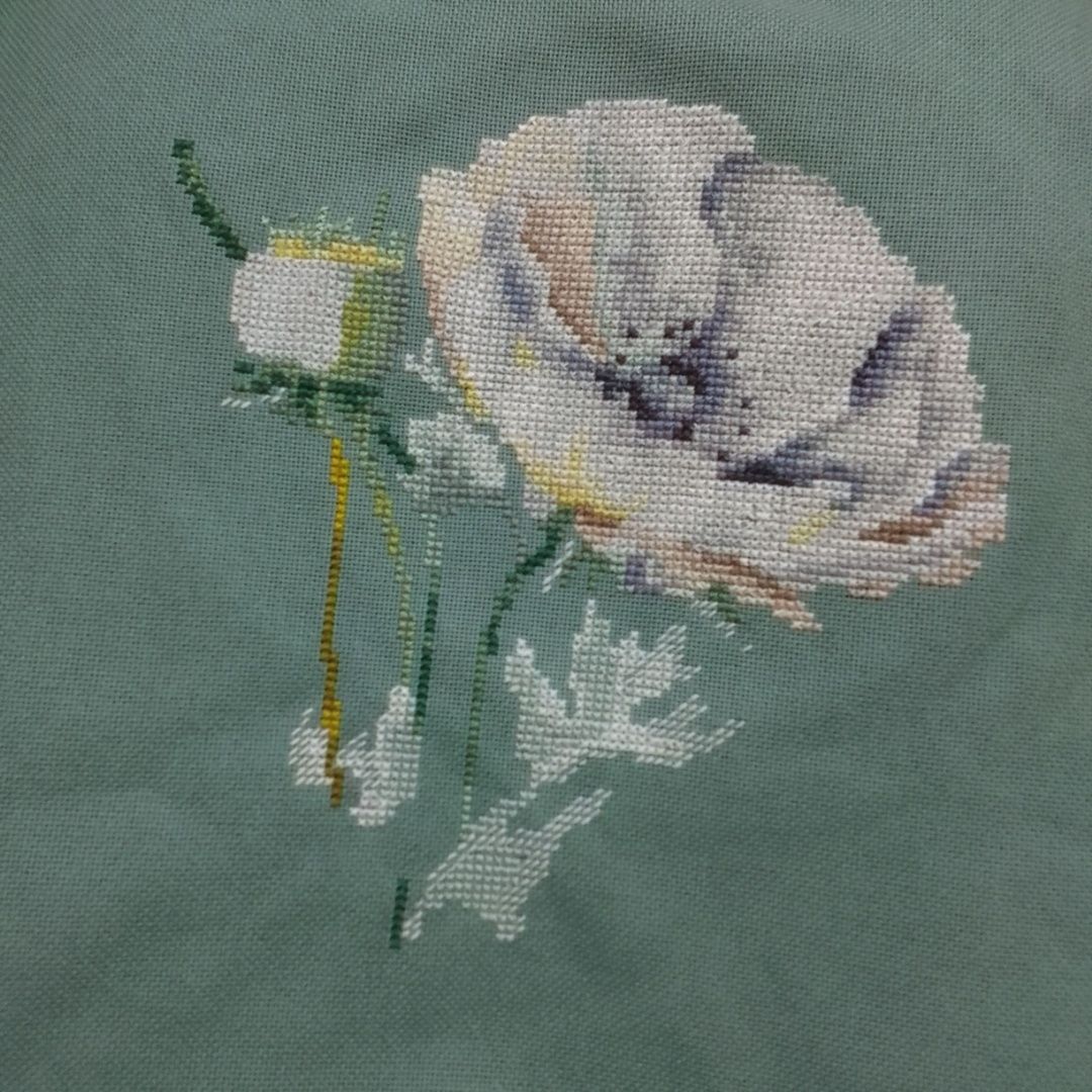 7162025233147.jpg
