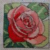 EPqTS2vGYMyOazyxrbfII3Jd1wAf6Tw3tcrUpE4HZBJCmYbq8YgfpKCKJ2SRMD9Q_luzx67Vli1UDVRGMwzS4z6k.jpg.07e10573d2c963911e4e9000f2b6a4bc.thumb.jpg.46309faed018086229c6df2d81a03e0b.jpg