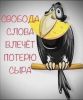 FB_IMG_1756640942609.thumb.jpg.dbcb41a02c3a298faddf0153b7375471.jpg