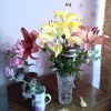 IMG-20250706-WA0002.thumb.jpg.db42eca5dcfbf9632adb58d39f444c09.jpg