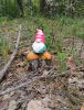IMG-20250820-WA0004.thumb.jpg.5247cc533b2279a78bba2e8fd75765b8.jpg