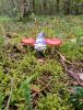 IMG-20250825-WA0026.thumb.jpg.ac60e4b74320de5709f7ffb2c4970c07.jpg