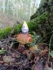 IMG-20250829-WA0007.thumb.jpg.ebebc8b22a9f9dd7d131fb84e638c426.jpg