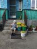 IMG20250718192542.thumb.jpg.ea9487cc40a62c879d7bd4e730ef663b.jpg