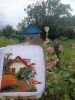 IMG20250720091648(1).thumb.jpg.a30f4b15b2f08e5513d42a3f568b0651.jpg