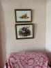 IMG_0544.jpeg