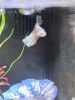 IMG_1924.thumb.jpeg.a05c704aa03a8406461a911cc9493a49.jpeg