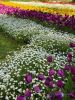 IMG_20250428_182112_398.thumb.jpg.8bd5b12a620ce212f1d6216ff9f60273.jpg