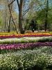IMG_20250428_182112_503.thumb.jpg.45ec96a943c846dbf97758e2a62da5c0.jpg