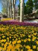 IMG_20250428_182112_527.thumb.jpg.794837a3d3ba4c0417ea9af1122cb869.jpg