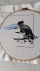 IMG_20250517_125559.thumb.jpg.1eec8bb875c90ded3bb16450f76f14f4.jpg