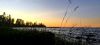 IMG_20250719_234646.thumb.jpg.423a1e56fa225b53c1b6a7507d576bf3.jpg