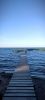 IMG_20250719_234718.thumb.jpg.8b60debd53f3dad267e29a3cefb05618.jpg
