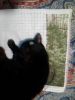 IMG_20250805_214655.thumb.jpg.a8ade332a297548f4527c25a62b768a1.jpg