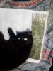 IMG_20250805_214716.thumb.jpg.a52c56132ad1e30cc3cf83c7b96369d1.jpg
