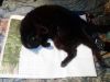 IMG_20250805_214744.thumb.jpg.c3e99c33b7a52a5dc967a8178bf2caca.jpg