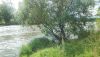 IMG_20250811_154658.thumb.jpg.bcc0f69d4ef74f79ad116eeb378ec12b.jpg