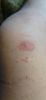 IMG_20250811_163004.thumb.jpg.f2d4180f73d7b184f7c214a2a665f5f4.jpg