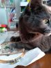 IMG_20250815_085451.thumb.jpg.3f826ce97832b8d9fed24035dae6524f.jpg