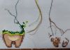 IMG_20250816_193229.thumb.jpg.fc1bb4b69cd1e0e77bd355c6e982c713.jpg